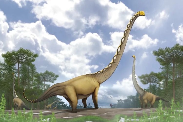 Dinosaurus Spesies Baru Ditemukan di Thailand, Berleher Sangat Panjang