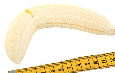 3 Penyebab Penis Bengkok, Pria Perlu Tahu Halaman all - Kompas.com