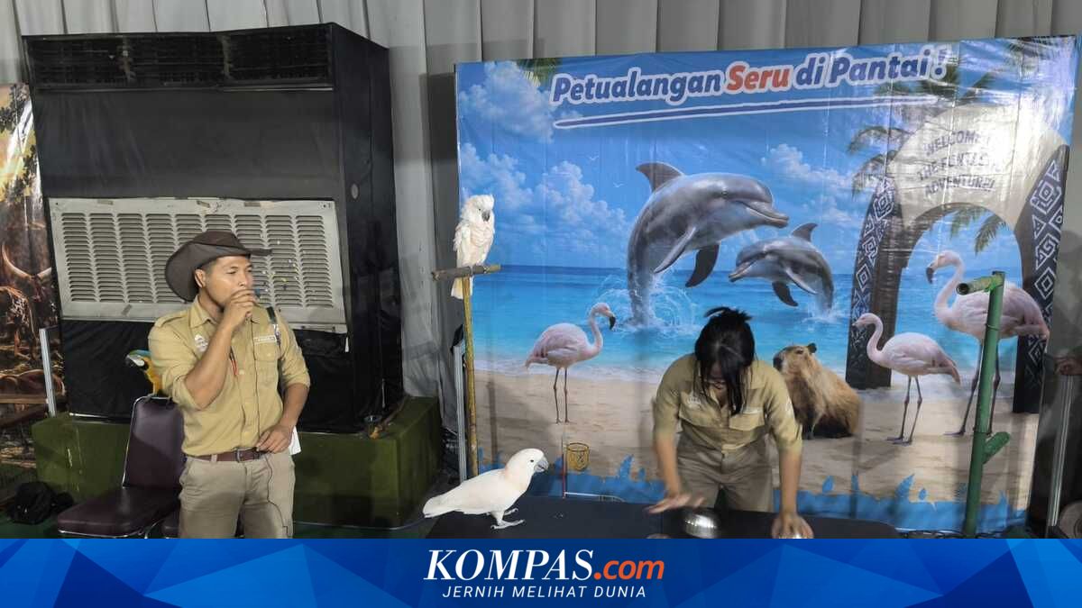 PRPP Tambah Kantong Parkir dan Pisahkan Jalur Kendaraan, Pengunjung Jateng Fair Diimbau Hindari Parkir Liar