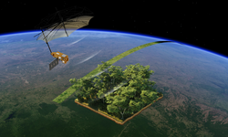 Satelit Biomassa Diluncurkan untuk Hitung Karbon Hutan 