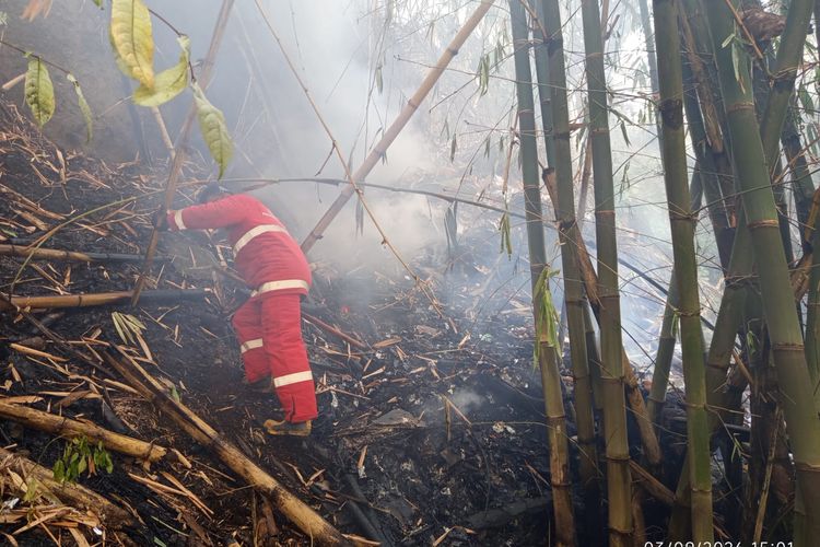 Kebakaran Lahan Kembali Terjadi di Jember, Asap Masuk ke Ruang Kelas