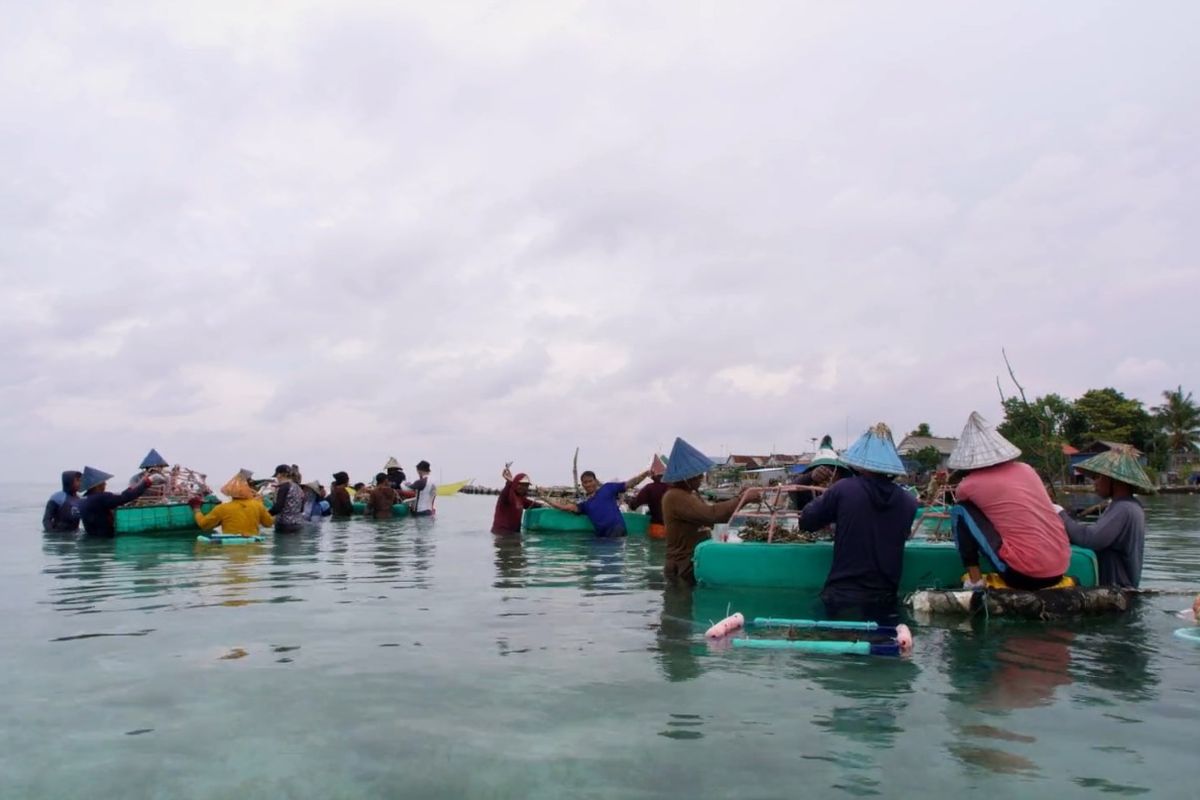 Keterlibatan warga dalam restorasi di Bontosua