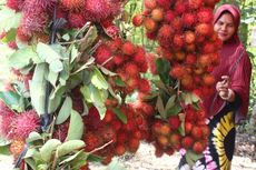 Resep Asinan Rambutan Kiamboy, Bikin Nagih!