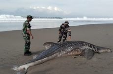 Prabowo: Polisi Selalu Dimaki-maki di Seluruh Dunia