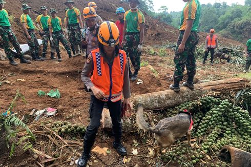 Cerita Polwan Pawang Anjing K9 Terjang Gundukan Longsor Cari Korban Gempa Cianjur