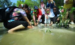 Jakarta Ecotourism Festival 2026, Ajarkan Pelajar Jaga Mangrove hingga Kenalkan Wisata Berkelanjutan