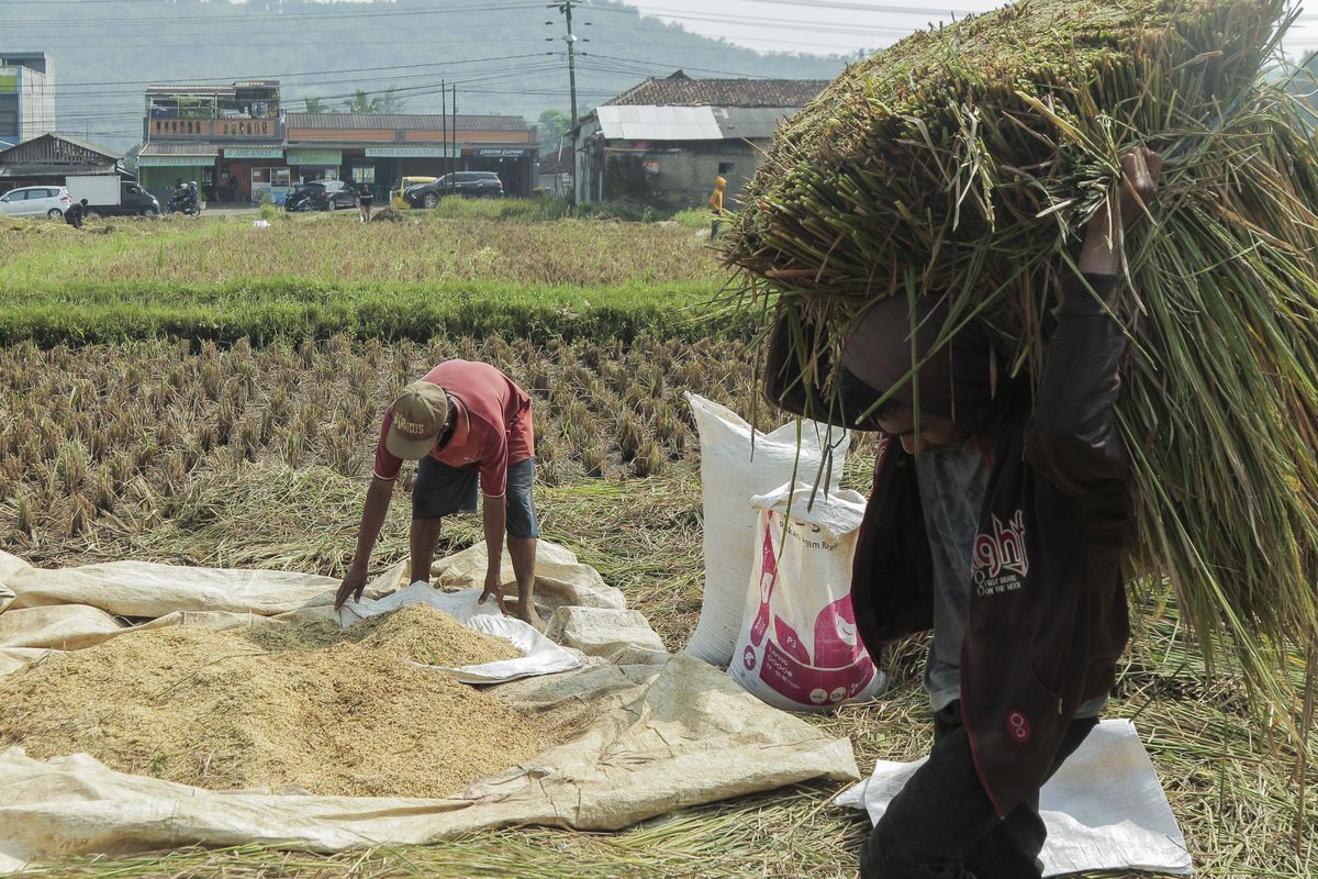Tidak Semua Petani, Nelayan, dan UMKM Dihapus Utangnya, Ini Kriterianya Halaman all