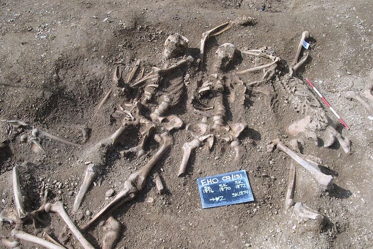 Tulang bangsa Viking di sebuah pemakaman massal. Peneliti ungkap asal-usul penyakit cacar dengan memeriksa DNA pada tulang dan gigi.