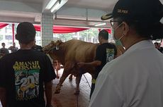 Cerita Warga Slipi Datang ke Masjid Istiqlal untuk Lihat Sapi "Gemoy" Jokowi