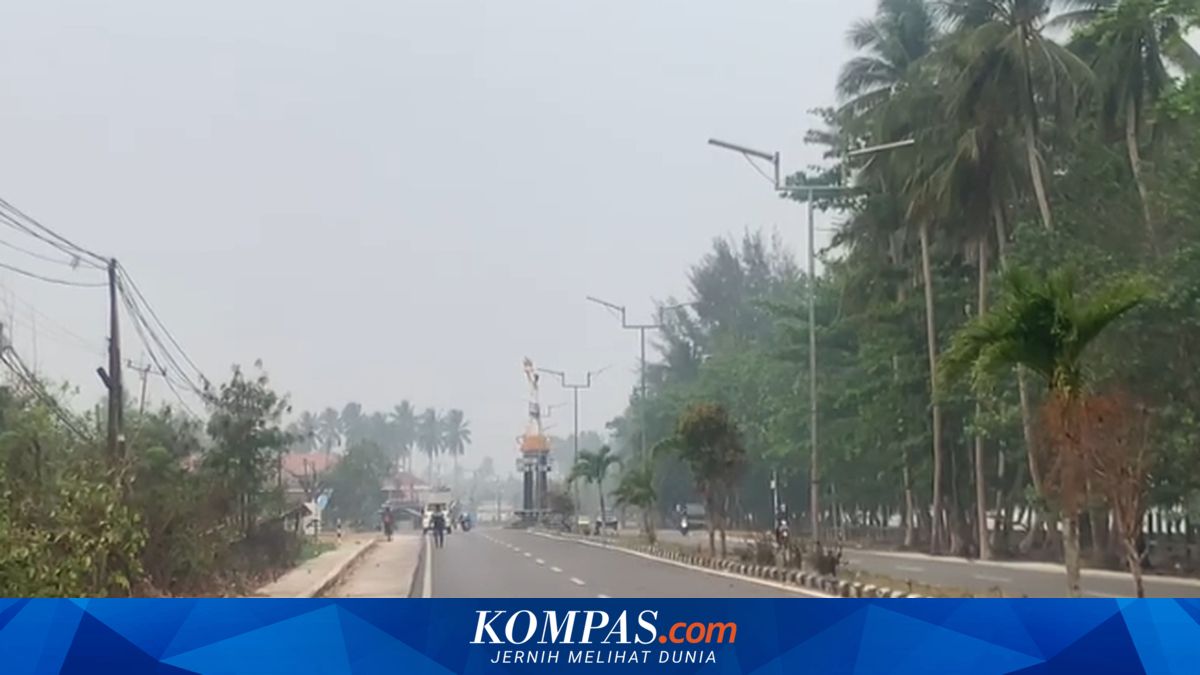Warga Kaimana Papua Keluhkan Kabut Asap, Terpaksa Beraktivitas Tanpa Masker