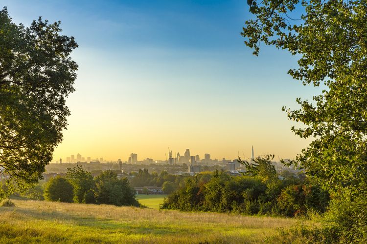 Ilustrasi pemandangan London dilihat dari Hampstead Heath di London, Inggris.