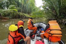 Hari Ke-4 Pencarian Warga Donggala yang Hilang di Rawa Penuh Buaya Masih Nihil