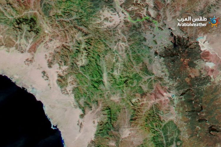 Tangkapan layar citra satelit yang menunjukkan kawasan di barat Kota Madinah berubah menjadi hijau