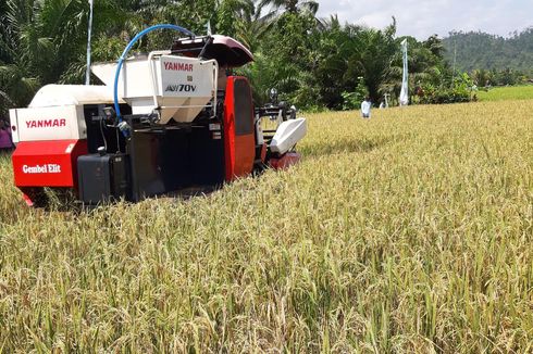 Sri Mulyani: Pertanian Menjadi Kunci Pemulihan Ekonomi Indonesia