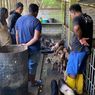 Flu Babi Afrika Kembali Serang Babi di NTT, Peternak Mulai Cemas 