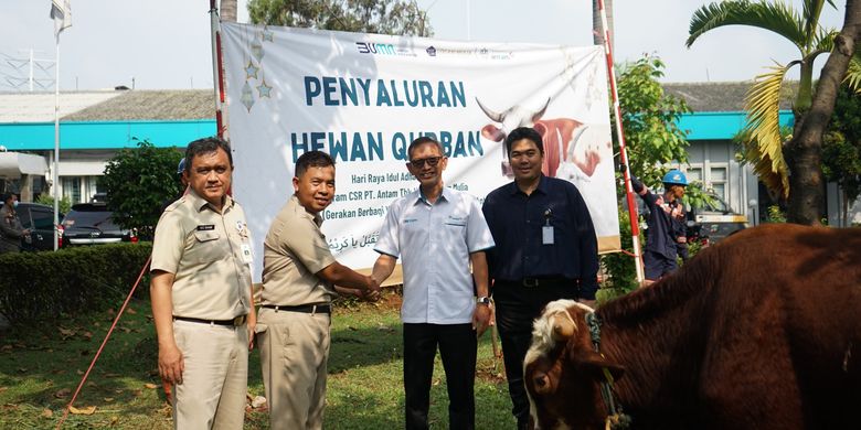 Salah satu penyaluran hewan kurban Antam yang dilakukan di Jakarta oleh UBPP Logam Mulia.
