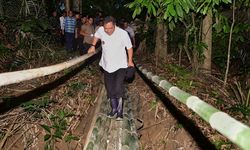 Dari Desa ke Desa, Pj Gubernur Bahtiar Gencarkan Budi Daya Pisang Cavendish hingga Nangka Madu