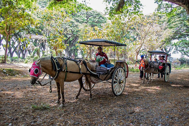 Jasa Dokar di De Djawatan Banyuwangi