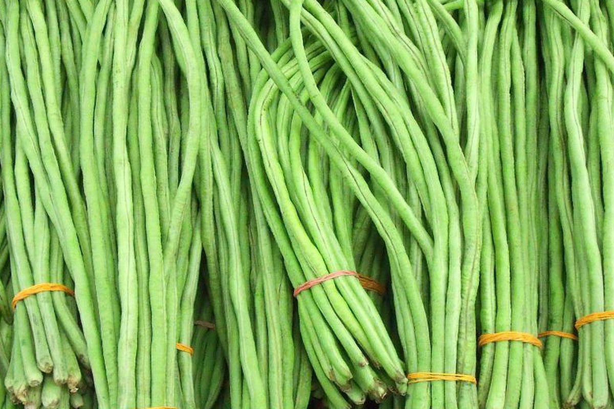 Sayuran kacang panjang