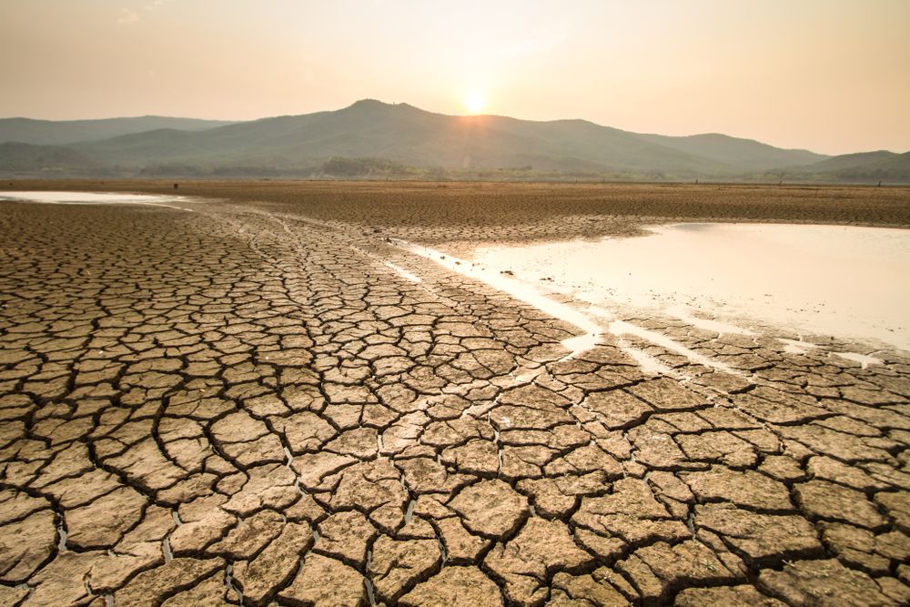 Webinar Unair Bahas Dampak El Nino bagi Kesehatan Manusia