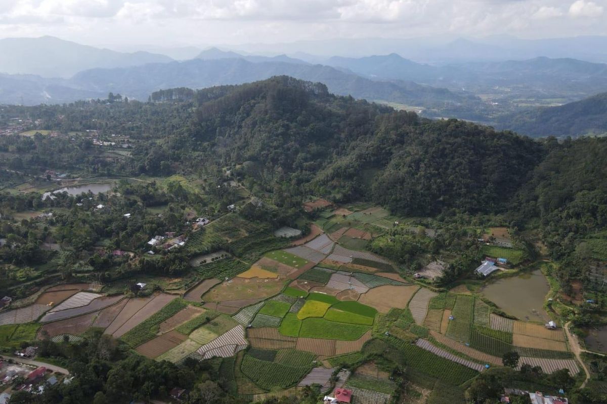 Ilustrasi Desa Wisata.