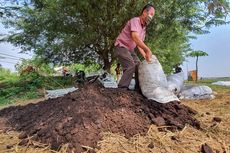 Pupuk Organik, Solusi Petani Hemat Biaya Produksi di Masa Pandemi