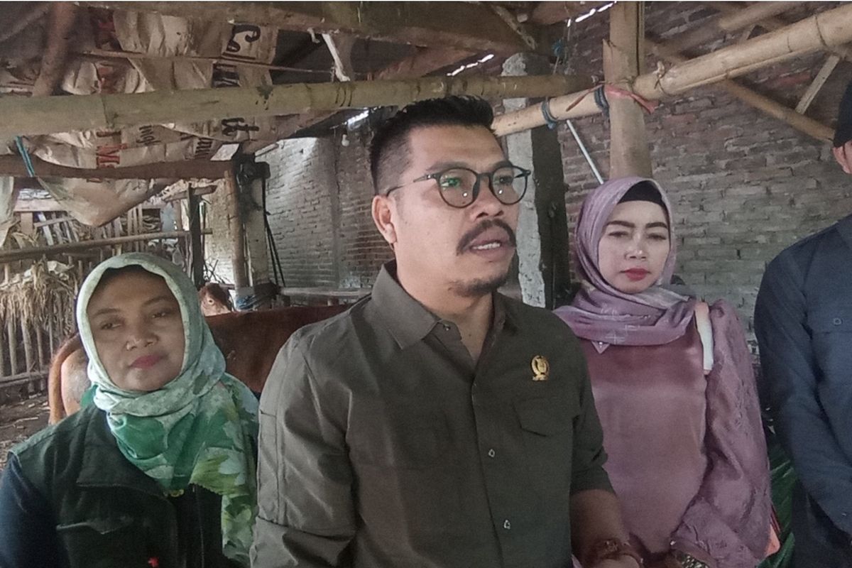 Sidak, Dinas Peternakan Magetan Terima 800 Laporan Sapi PMK