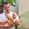 Digendong Nicholas Saputra, Ini 6 Fakta Menarik Kucing Oren