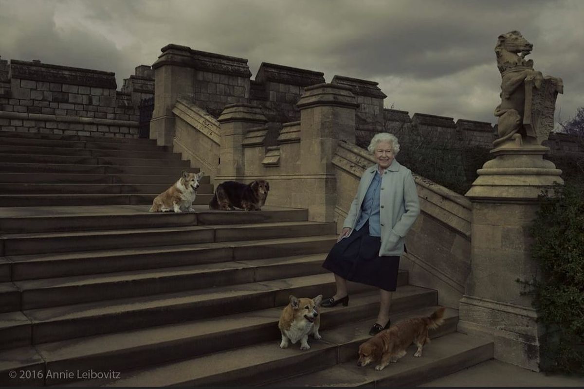 Ratu Elizabeth II sewaktu masih hidup berfoto bersama anjing Corgi peliharaanya. 