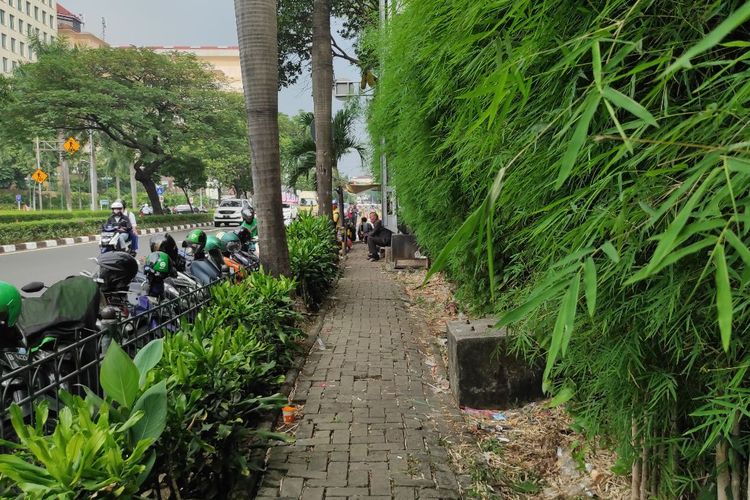Penampakan trotoar di Jalan Asia Afrika, Jakarta Pusat, dipenuhi dengan dedaunan pohon bambu yang menjuntai pada Jumat (19/5/2023). 