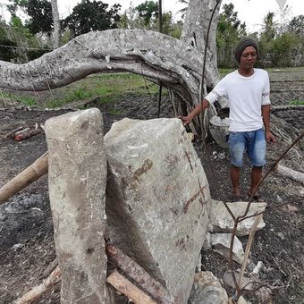 Warga Menunjukkan Batu Diduga Menhir dan Batu Bergambar Wayang di Dusun Sawahan II, Desa Bleberan, Kecamatan Playen, Gunungkidul