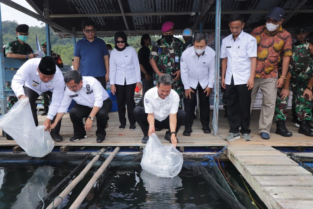 Menteri KP Sakti Wahyu Trenggono siapkan kerapu jadi unggulan ekspor perikanan Anambas. 