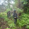 Ladang Ganja Seluas 200 Meter Persegi Ditemukan di Hutan Boven Digoel