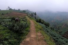 Gunung di Indonesia Bakal Diberi "Grade", Kurangi Risiko Kecelakaan