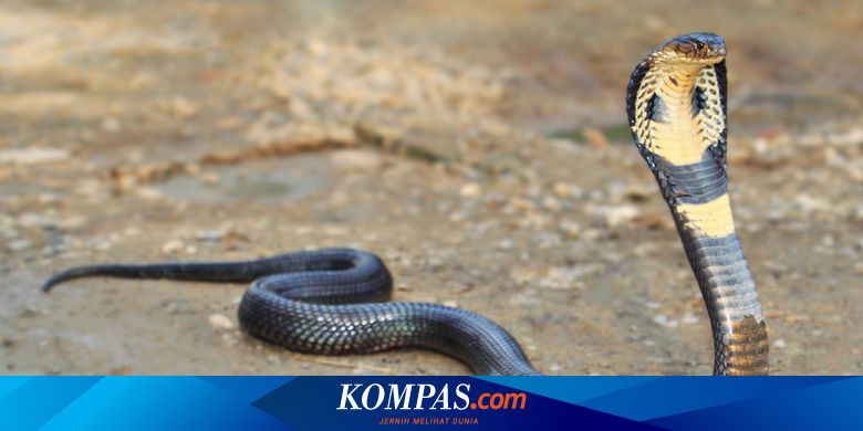 Xotin tiz chokib soradi