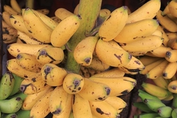 Buah pisang mas kirana