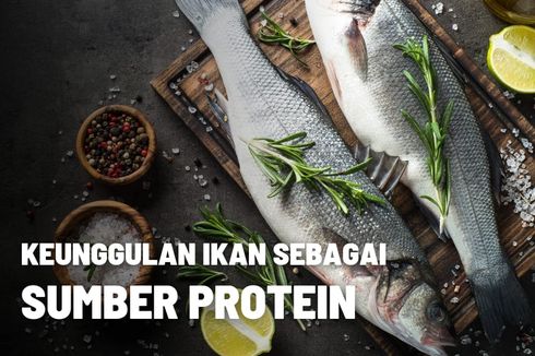 Keunggulan Ikan Sebagai Sumber Protein Hewani 