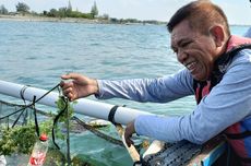 Budi Daya Rumput Laut di Desa Bondo Jepara, Berdayakan Nelayan dan Ibu Rumah Tangga