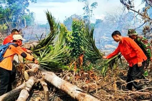 Karhutla Terjadi Lagi di Rokan Hulu Riau, Kali Ini Diduga Sengaja Dibakar