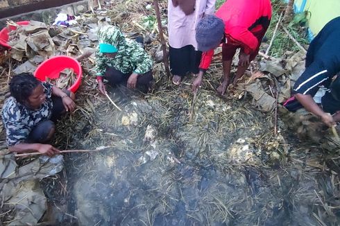 Apa Itu Tradisi Bakar Batu di Papua?