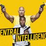 Sinopsis Central Intelligence, Misi Rahasia Dwayne Johnson