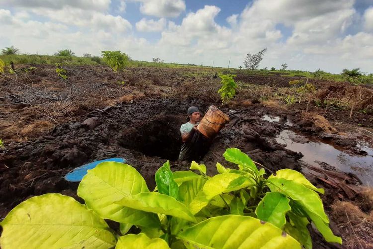 Rusdi, satu di antara anggota LPHD Kalibandung menggali kolam di lahan gambut untuk antisipasi jika memasuki musim kering dan terjadi kebakaran lahan.
