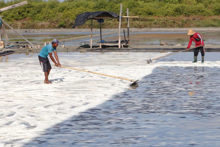 Petani garam menjalani kegiatannya di kawasan Benowo Surabaya, Jawa Timur.