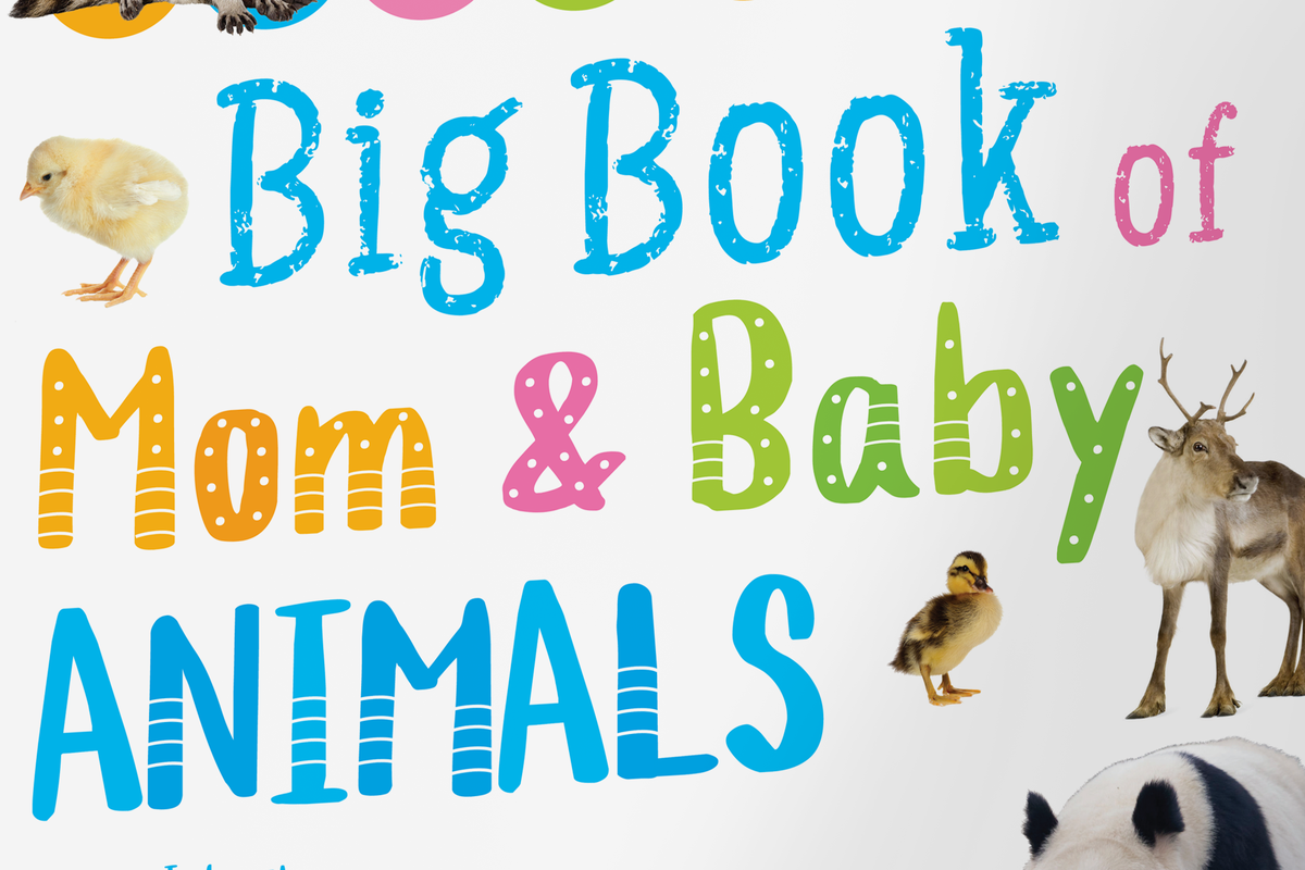 Buku Big Book of Mom and Baby Animals