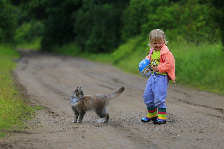 Anak bermain bersama kucing.