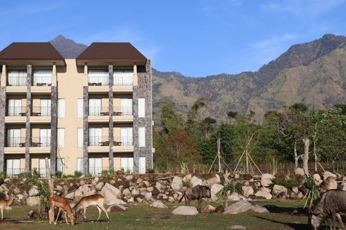 Hotel Bintang 4 Hadir di Taman Safari Prigen