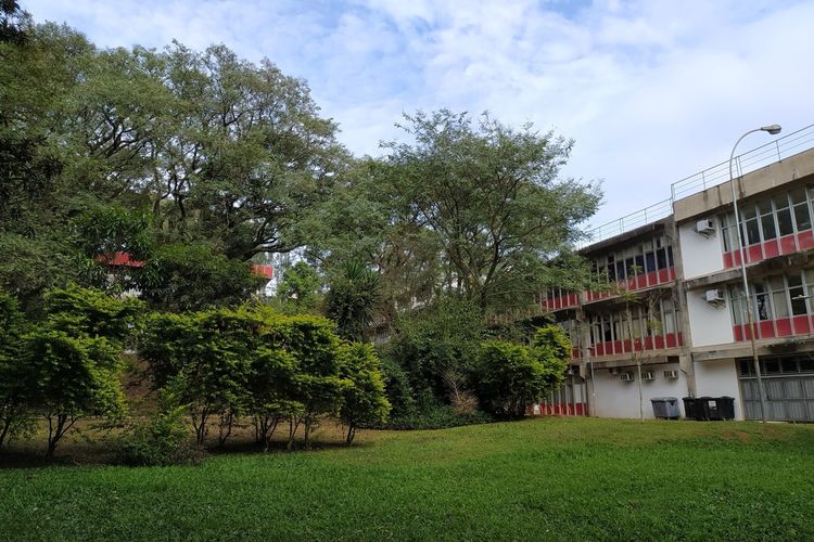 Transformasi Kampus Hijau dan Pemeringkatan 19 Perguruan Tinggi Terbaik 