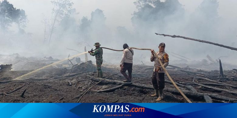Indonesia Berisiko Kekeringan Meteorologis, Hati-hati Karhutla