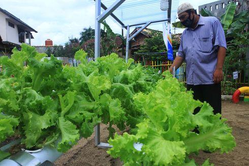 Terobosan Kampung Tangkal Covid-19 Bantu Warga Kena PHK: Lahan Penuh Ular Jadi Kebun Sayur, Saluran Kumuh Jadi Tambak Ikan