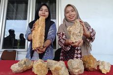 RATU Ditetapkan Jadi Pemenang Akuisisi Operator Produksi Gas di Madura